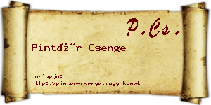 Pintér Csenge névjegykártya
