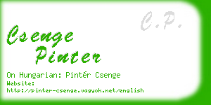 csenge pinter business card